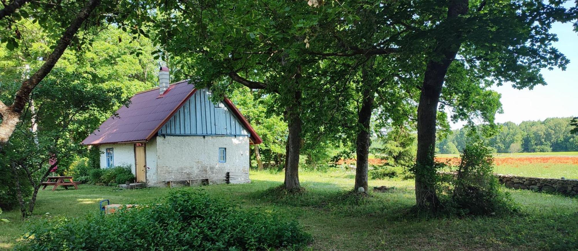 Viini Puhkemaja Pensionat Mustjala Exteriör bild
